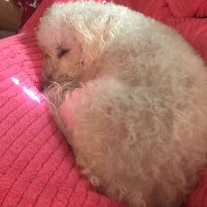 Meet your Posher, Savanah